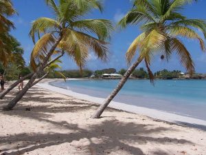 Martinique Beach Salines