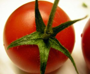 Tomate