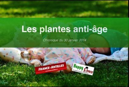 Les plantes anti-âge (1ère partie) Les plantes anti-âge (1ère partie)