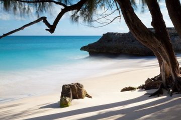 La Barbade : un joyau au sein de l’archipel des Caraïbes