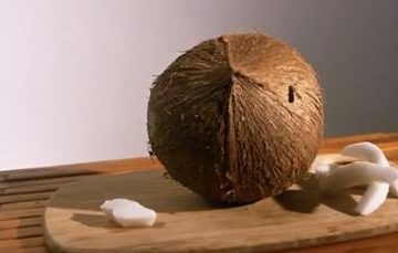 Blanc manger coco bio en vidéo by Carnets de cuisine