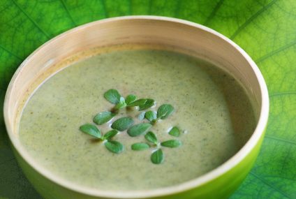 Les plantes créoles gustatives : le pourpier