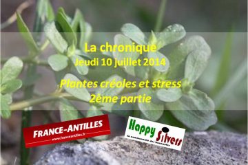 Plantes créoles et stress – 2ème partie