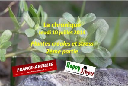 Plantes créoles et stress – 2ème partie Plantes créoles et stress – 2ème partie