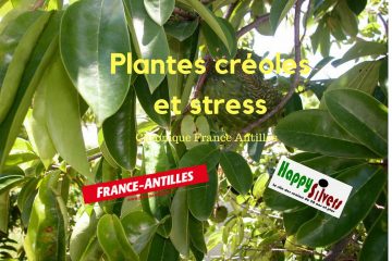 Plantes créoles et stress