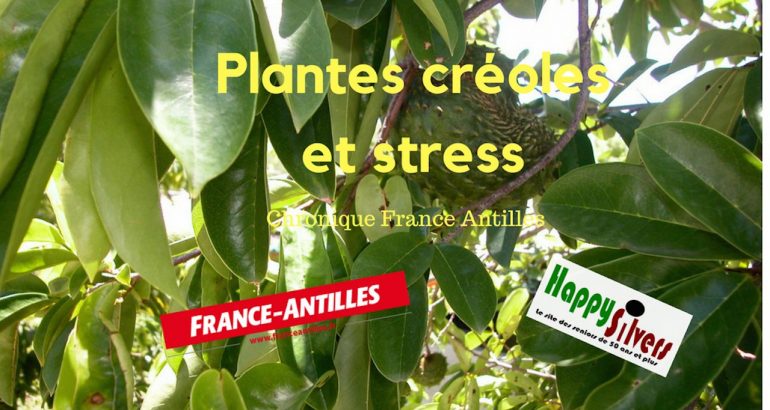 plantes creoles stress chronique