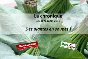 Des plantes en soupes pour les seniors