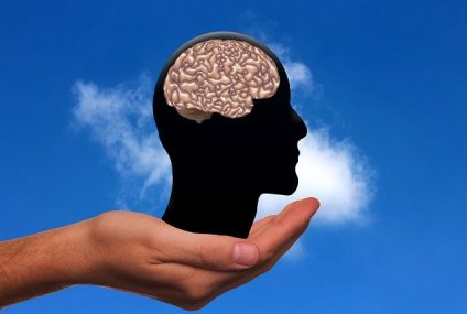 Un corps sain synonyme d&rsquo;un cerveau en santé ?