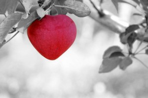 pomme en forme de coeur