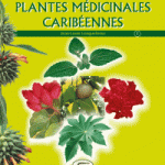 plantes medicinales caraibeennes t1