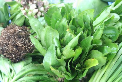 Des épices créoles à découvrir