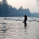 peche a la mouche dans riviere