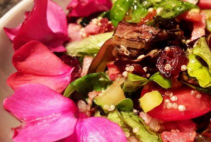 Le quinoa, quelques bonnes raisons d’en consommer ! Le quinoa, quelques bonnes raisons d’en consommer !