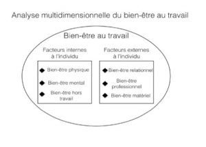 Bien-etre au travail et facteurs individuels