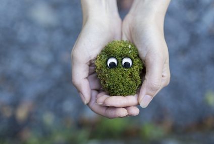 20 gestes éco-citoyens pour protéger notre planète 20 gestes éco-citoyens pour protéger notre planète