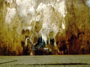 Cathedral in Waitomo Cave