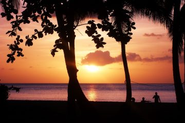 Vacances paradisiaques pour les seniors au cœur de la Guadeloupe