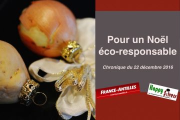 Pour passer un Noël éco-responsable