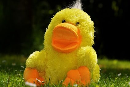 Les jouets plébiscités par les enfants en 2016 Les jouets plébiscités par les enfants en 2016