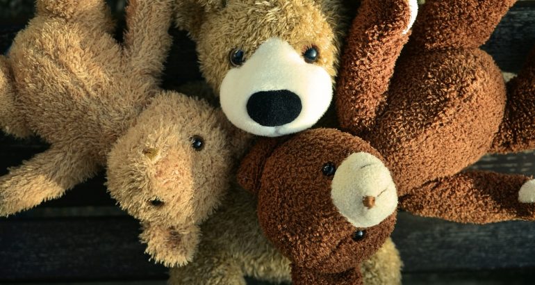 amis ours en peluche