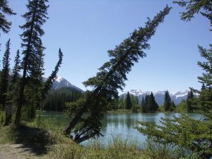 canada parc national de Banff