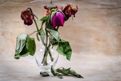 Comment aider un ami qui est dans le chagrin