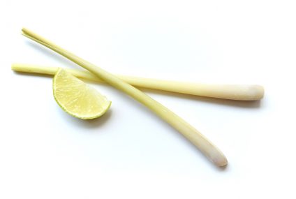 Crème brûlée à la citronnelle