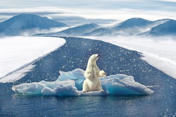 Les journées mondiales que nous devions absolument célébrer