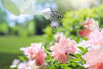 15 astuces pour économiser sur sa facture d&rsquo;eau
