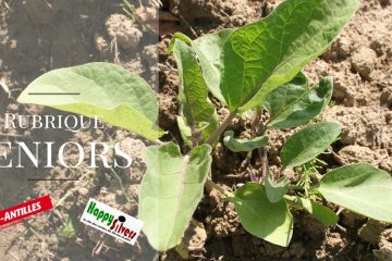 Etes-vous un consommateur bio et éco responsable ? Etes-vous un consommateur bio et éco responsable ?