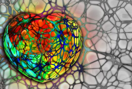 La santé de nos artères : la pose d’un stent