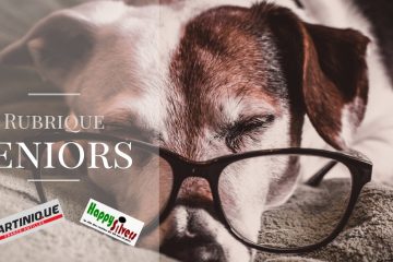 Vieillir avec son animal de compagnie Vieillir avec son animal de compagnie