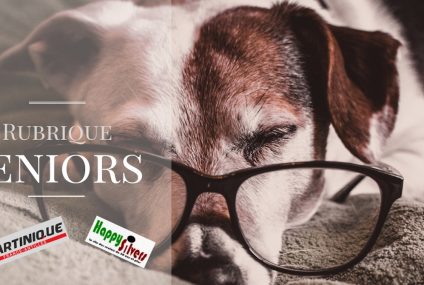 Vieillir avec son animal de compagnie Vieillir avec son animal de compagnie