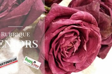 Le deuil est une épreuve douloureuse : et si on en parlait ? Le deuil est une épreuve douloureuse : et si on en parlait ?