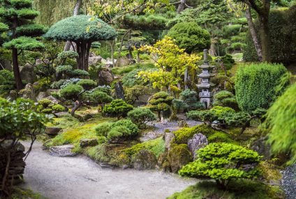 Le Japon, une destination dépaysante à découvrir en famille