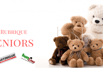 En quête de cadeau idéal  pour vos enfants et petits enfants ?