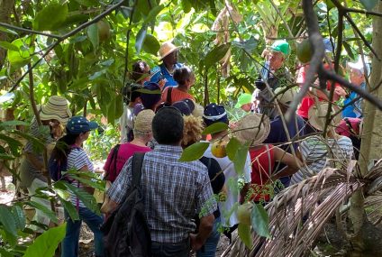 Mars, un mois chargé en ateliers, rien que pour vous !