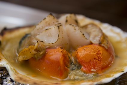 Une pêche responsable : la Saint-Jacques Une pêche responsable : la Saint-Jacques