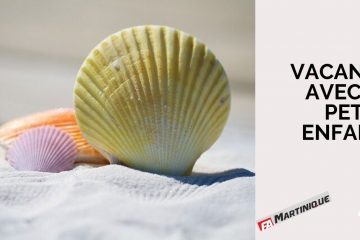 Accueillir ses petits enfants pendant les vacances Accueillir ses petits enfants pendant les vacances