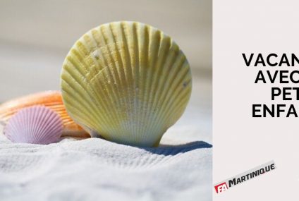 Accueillir ses petits enfants pendant les vacances Accueillir ses petits enfants pendant les vacances