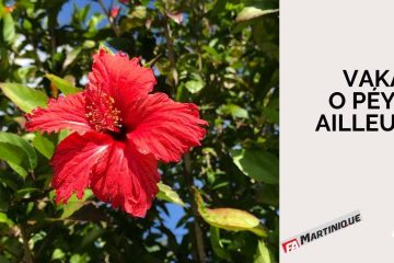 Vakans o péyi ou ailleurs ? Vakans o péyi ou ailleurs ?