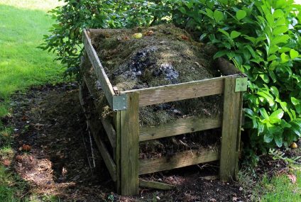 Quand vos déchets deviennent une ressource inépuisable : le compost (1)