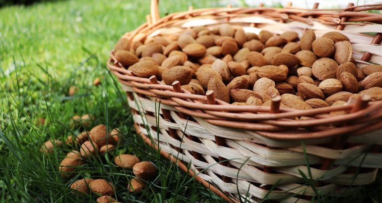 Amandes