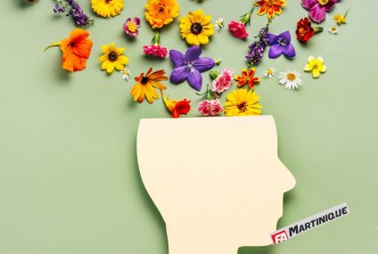 Pour bien vieillir, préservons notre santé mentale Pour bien vieillir, préservons notre santé mentale