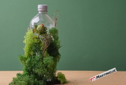 Seniors : cap sur un tourisme durable pour des voyages inoubliables !