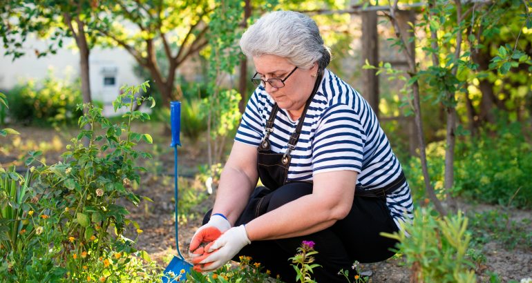 photo-montrant-une personne-agée-pratiquant-le-jardinage-comme-activité-après-65-ans