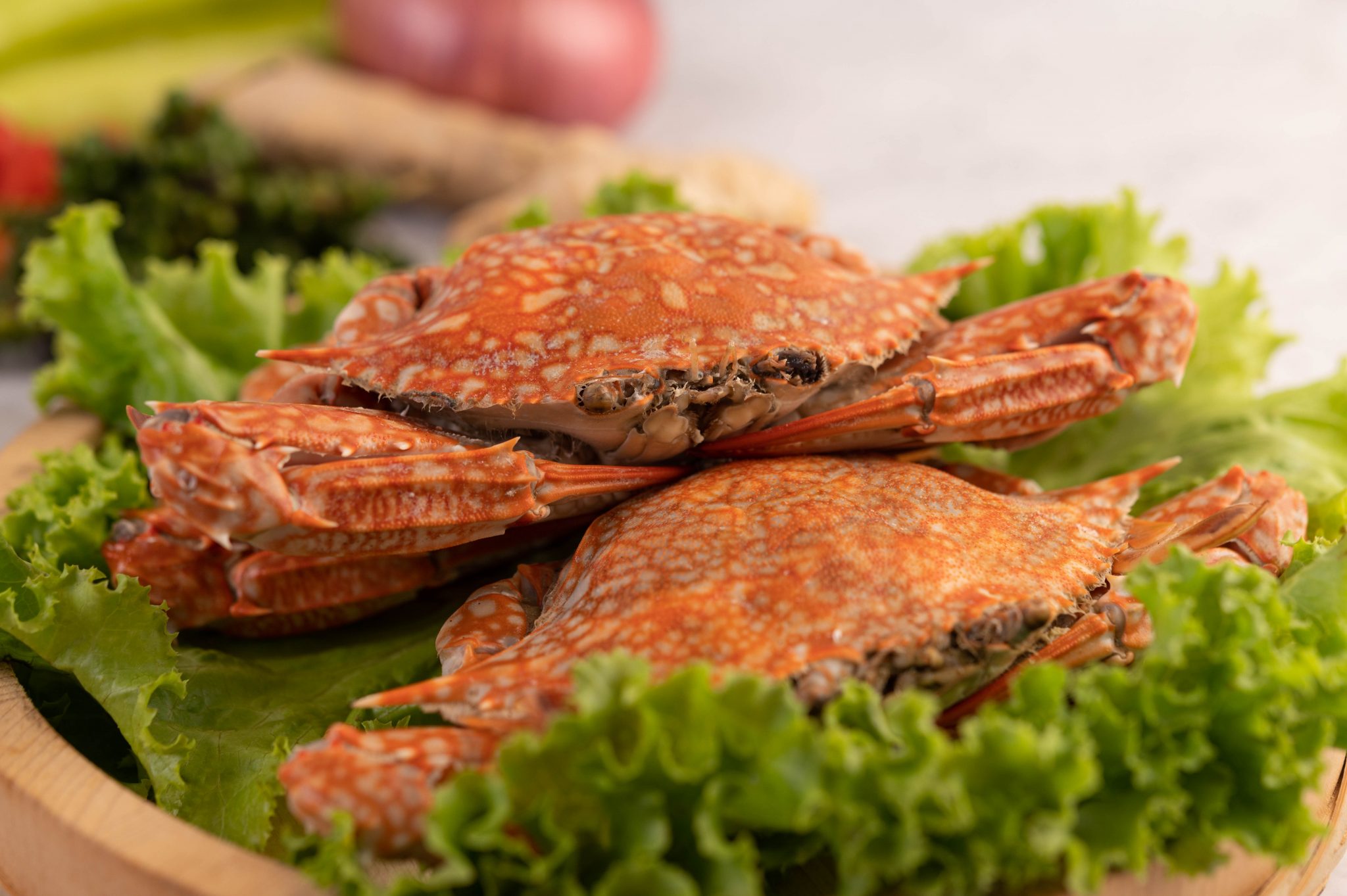 crabes-succulents-repas-de-paques-celebration-famillle